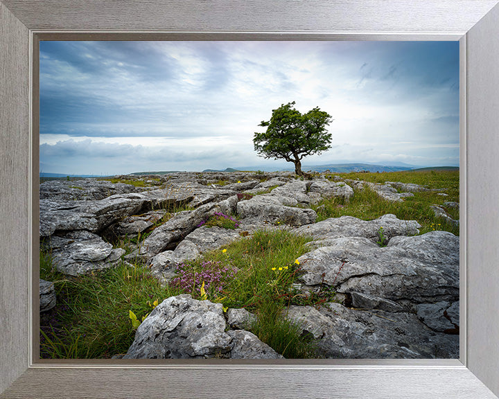 A lone tree in The Yorkshire Dales Photo Print - Canvas - Framed Photo Print - Hampshire Prints