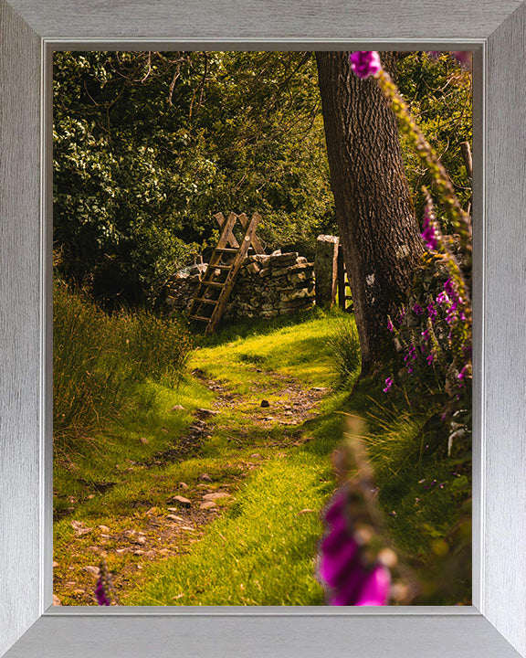 The Yorkshire Dales countryside in spring Photo Print - Canvas - Framed Photo Print - Hampshire Prints