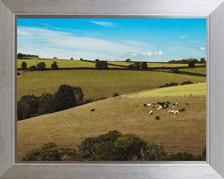 The Cornish countryside in summer Cornwall Photo Print - Canvas - Framed Photo Print - Hampshire Prints