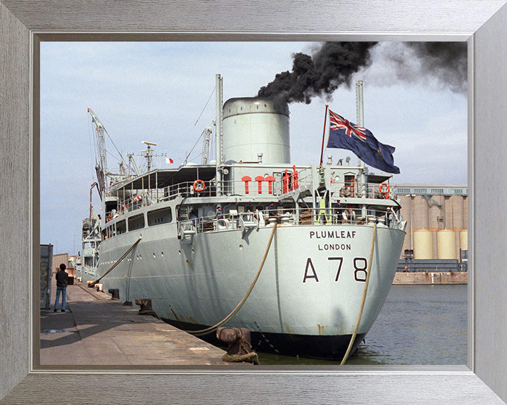 RFA Plumleaf A78 Royal Fleet Auxiliary Leaf class support tanker Photo Print or Framed Print - Hampshire Prints