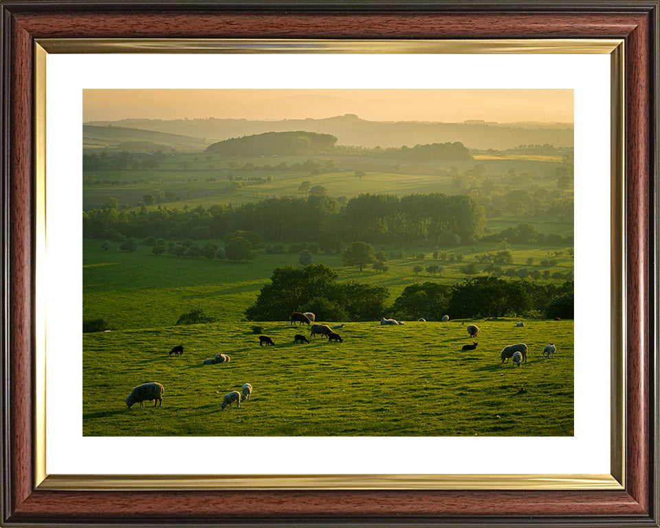 The Yorkshire Dales at sunset Photo Print - Canvas - Framed Photo Print - Hampshire Prints