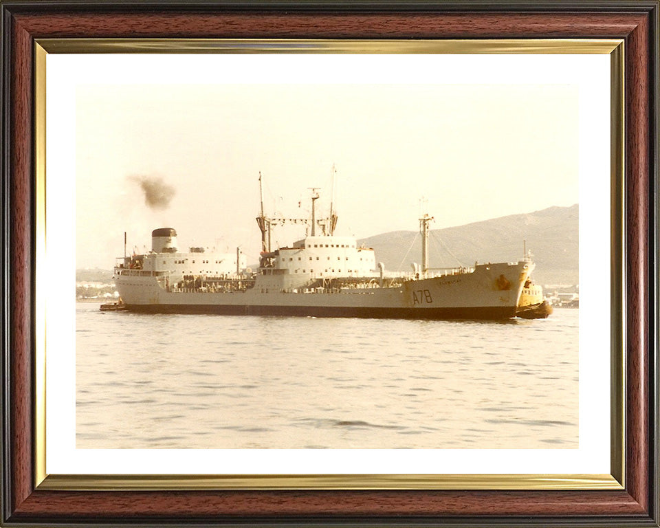 RFA Plumleaf A78 Royal Fleet Auxiliary Leaf class support tanker Photo Print or Framed Print - Hampshire Prints