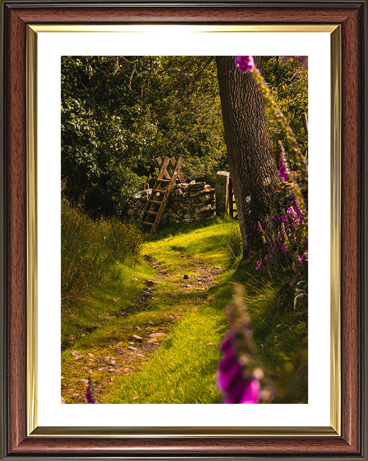 The Yorkshire Dales countryside in spring Photo Print - Canvas - Framed Photo Print - Hampshire Prints