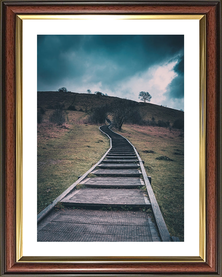 Steps leading up St Catherine's Hill Winchester Hampshire Photo Print - Canvas - Framed Photo Print - Hampshire Prints