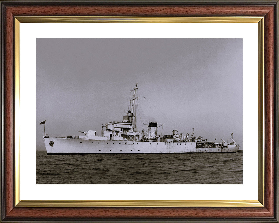 HMS Ready J223 Royal Navy Algerine class minesweeper Photo Print or Framed Print - Hampshire Prints