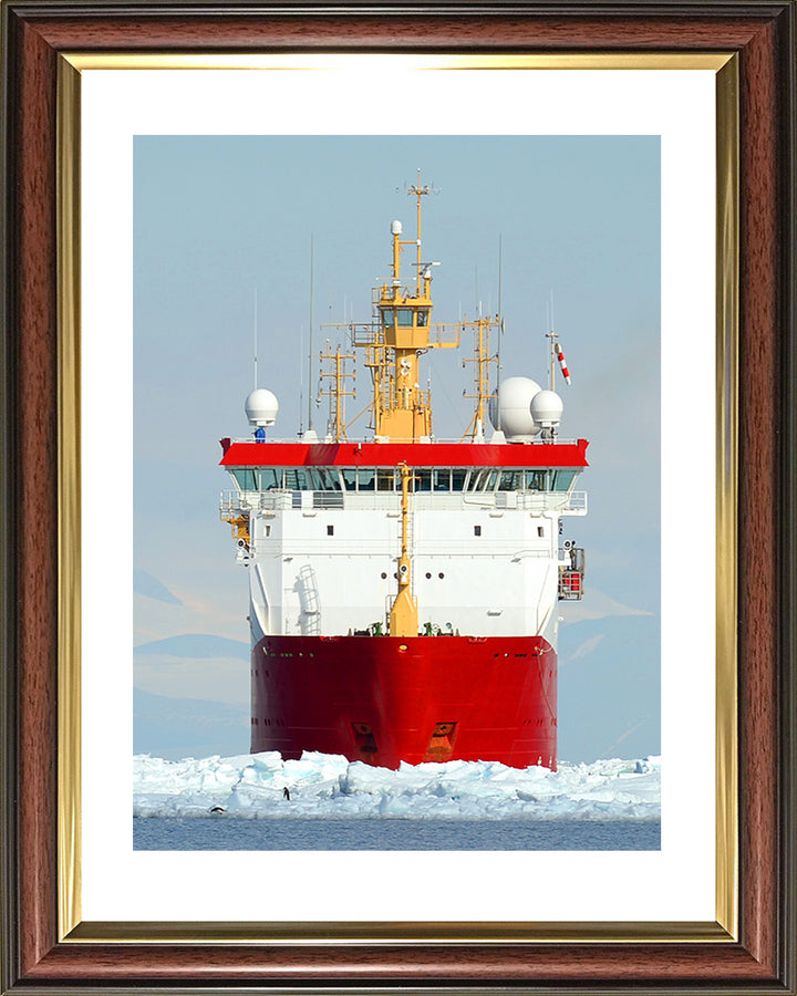 HMS Protector A173 Royal Navy Ice patrol ship Photo Print or Framed Print - Hampshire Prints