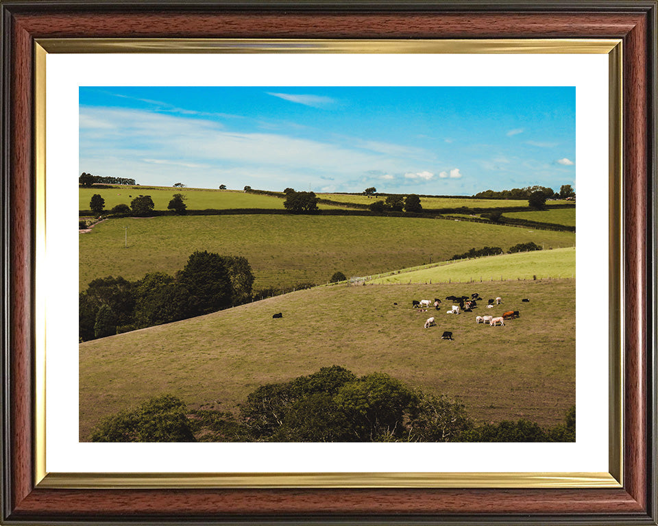 The Cornish countryside in summer Cornwall Photo Print - Canvas - Framed Photo Print - Hampshire Prints