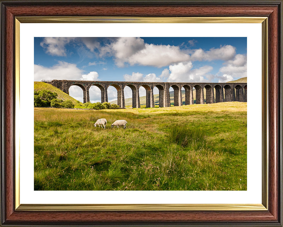 The Ribblehead Viaduct North Yorkshire in summer Photo Print - Canvas - Framed Photo Print - Hampshire Prints