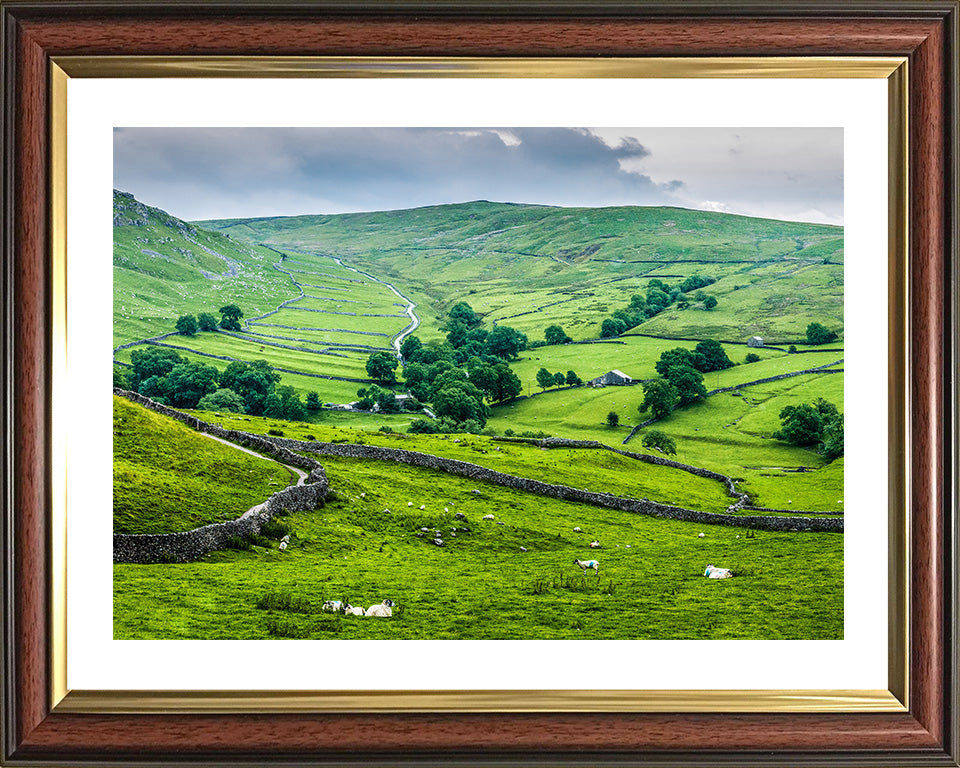 The Yorkshire Dales in spring Photo Print - Canvas - Framed Photo Print - Hampshire Prints