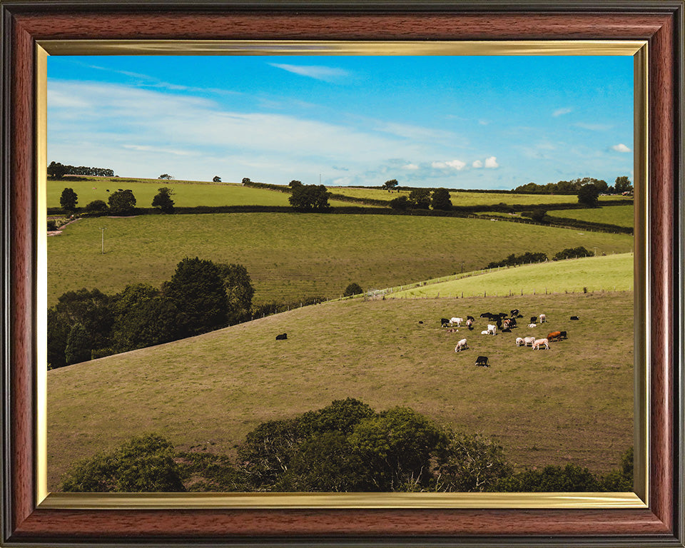 The Cornish countryside in summer Cornwall Photo Print - Canvas - Framed Photo Print - Hampshire Prints