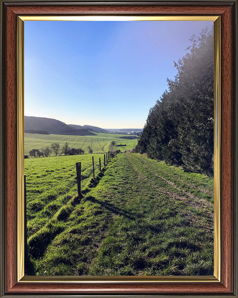 Kingley Vale National Nature Reserve West Sussex Photo Print - Canvas - Framed Photo Print - Hampshire Prints