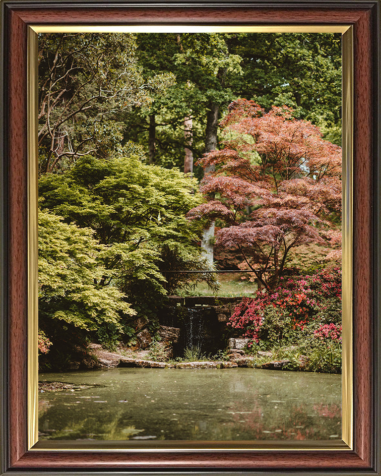 Exbury Gardens waterfall The New Forest Hampshire in Autumn Photo Print - Canvas - Framed Photo Print - Hampshire Prints