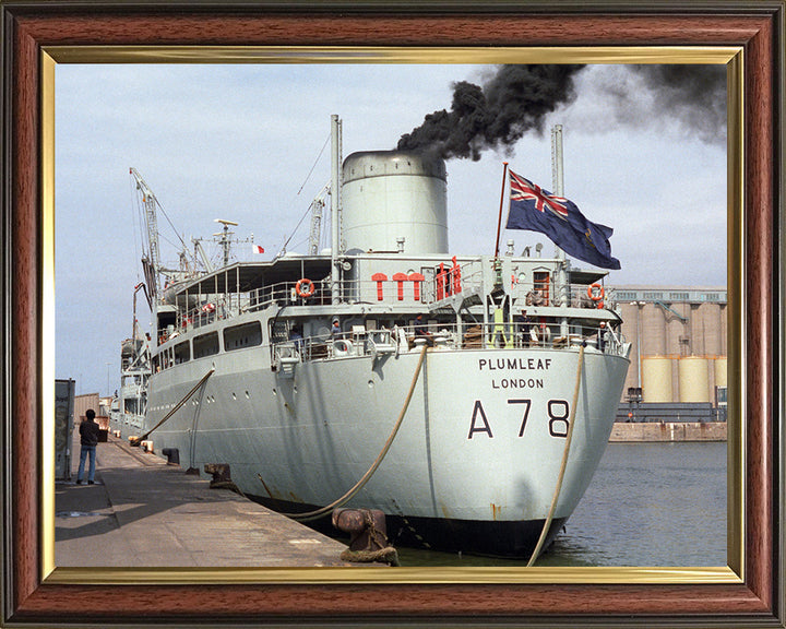 RFA Plumleaf A78 Royal Fleet Auxiliary Leaf class support tanker Photo Print or Framed Print - Hampshire Prints