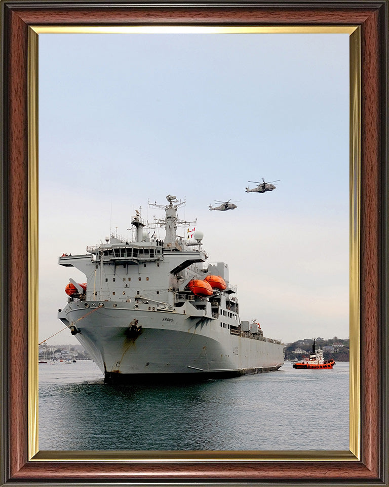 RFA Argus A135 Royal Fleet Auxiliary Casualty class Ship Photo Print or Framed Print - Hampshire Prints