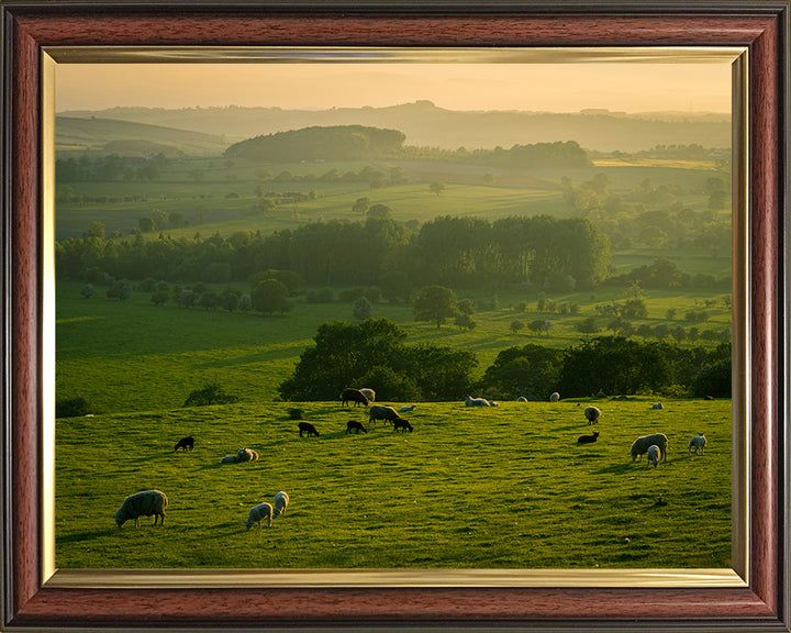 The Yorkshire Dales at sunset Photo Print - Canvas - Framed Photo Print - Hampshire Prints