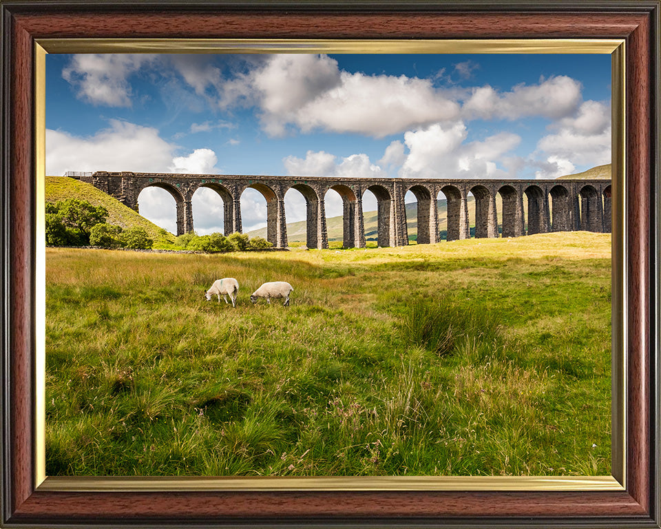 The Ribblehead Viaduct North Yorkshire in summer Photo Print - Canvas - Framed Photo Print - Hampshire Prints