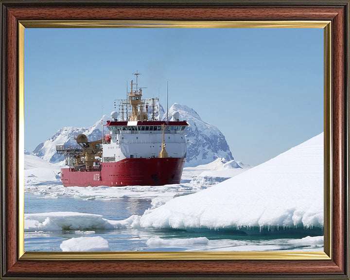 HMS Protector A173 | Photo Print | Framed Print | Poster | Ice Patrol Vessel | Royal Navy - Hampshire Prints