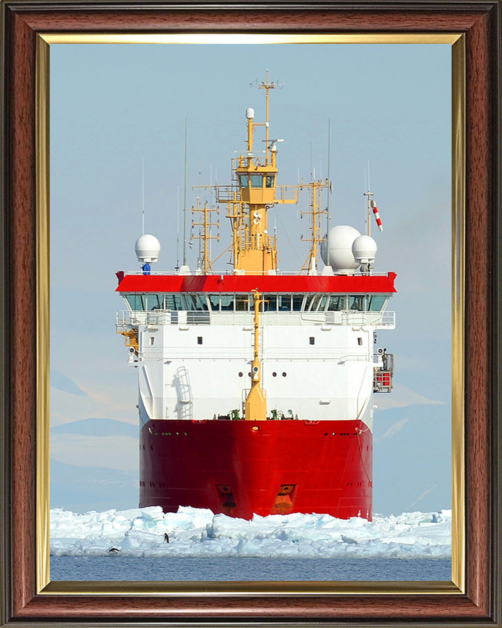 HMS Protector A173 Royal Navy Ice patrol ship Photo Print or Framed Print - Hampshire Prints