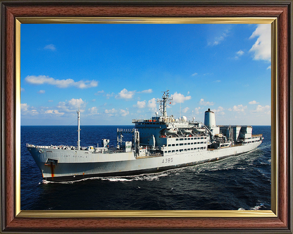 RFA Fort Rosalie A385 Royal Fleet Auxiliary Fort Rosalie Class replenishment ship Photo Print or Framed Print - Hampshire Prints