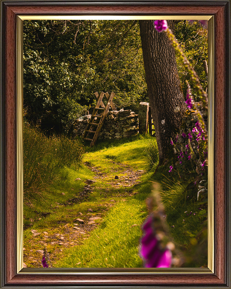 The Yorkshire Dales countryside in spring Photo Print - Canvas - Framed Photo Print - Hampshire Prints