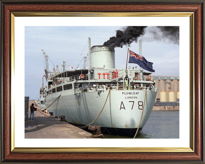 RFA Plumleaf A78 Royal Fleet Auxiliary Leaf class support tanker Photo Print or Framed Print - Hampshire Prints