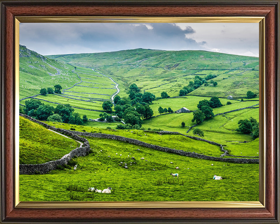 The Yorkshire Dales in spring Photo Print - Canvas - Framed Photo Print - Hampshire Prints