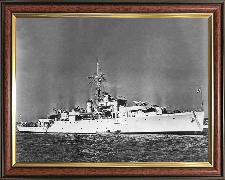 HMS Snipe U20 Royal Navy Modified Black Swan Class sloop Photo Print or Framed Print - Hampshire Prints