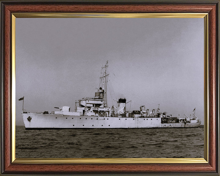 HMS Ready J223 Royal Navy Algerine class minesweeper Photo Print or Framed Print - Hampshire Prints