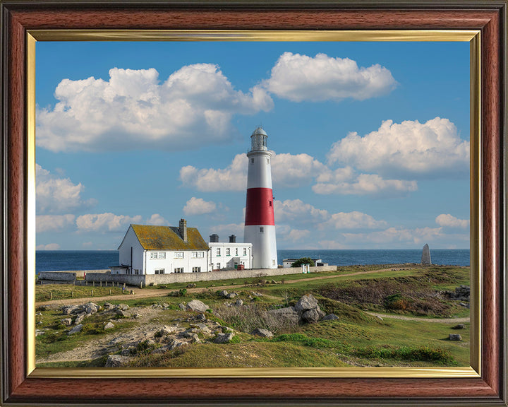 Portland Bill Lighthouse Dorset in summer Photo Print - Canvas - Framed Photo Print - Hampshire Prints