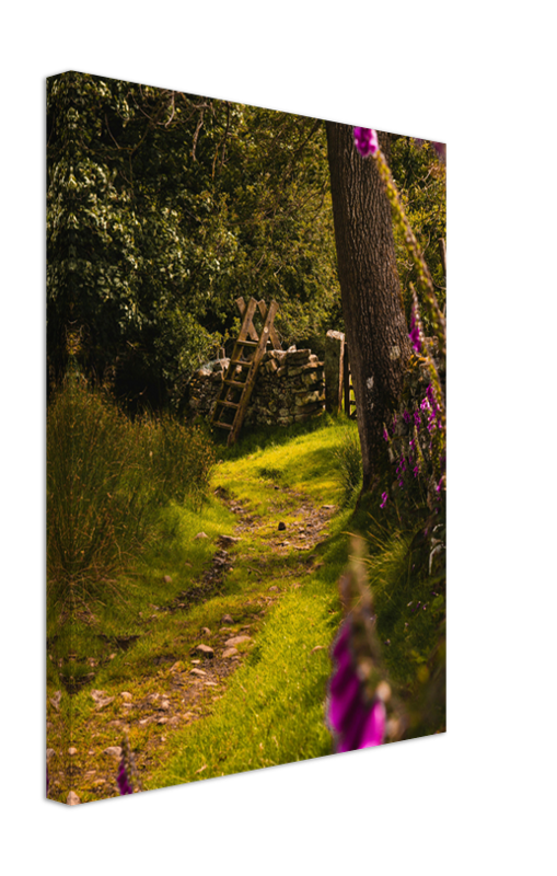 The Yorkshire Dales countryside in spring Photo Print - Canvas - Framed Photo Print - Hampshire Prints