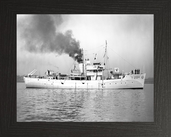 HMS Bern T294 Royal Navy Isles class Trawler Photo Print or Framed Print - Hampshire Prints
