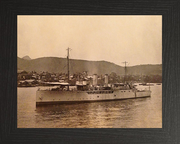 HMS Delphinium K77 Royal Navy Flower class corvette Photo Print or Framed Print - Hampshire Prints