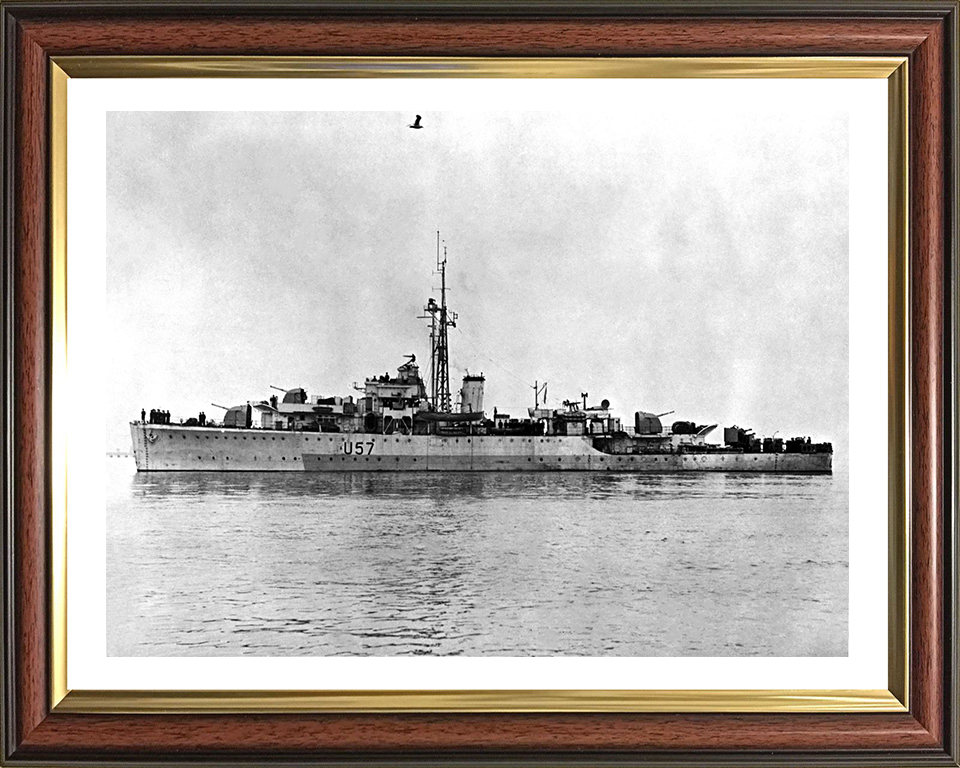 HMS Black Swan U57 (L57) Royal Navy Black Swan Class sloop Photo Print or Framed Print - Hampshire Prints