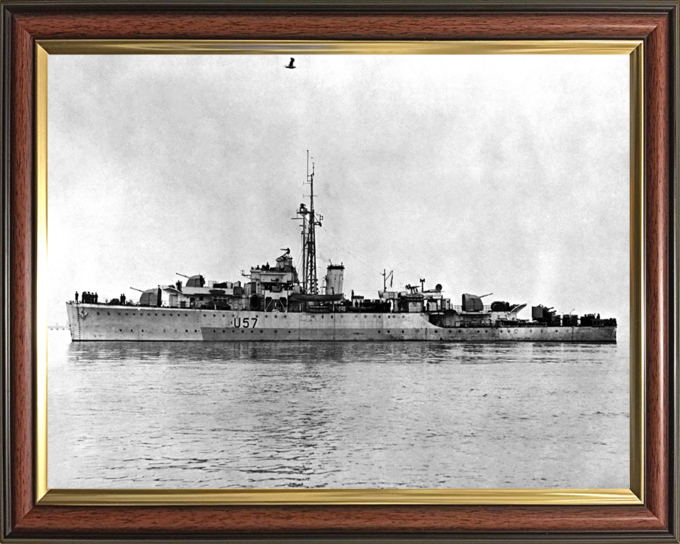 HMS Black Swan U57 (L57) Royal Navy Black Swan Class sloop Photo Print or Framed Print - Hampshire Prints