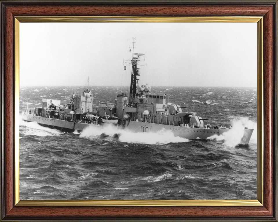 HMS Caprice D01 Royal Navy C class destroyer Photo Print or Framed Print - Hampshire Prints